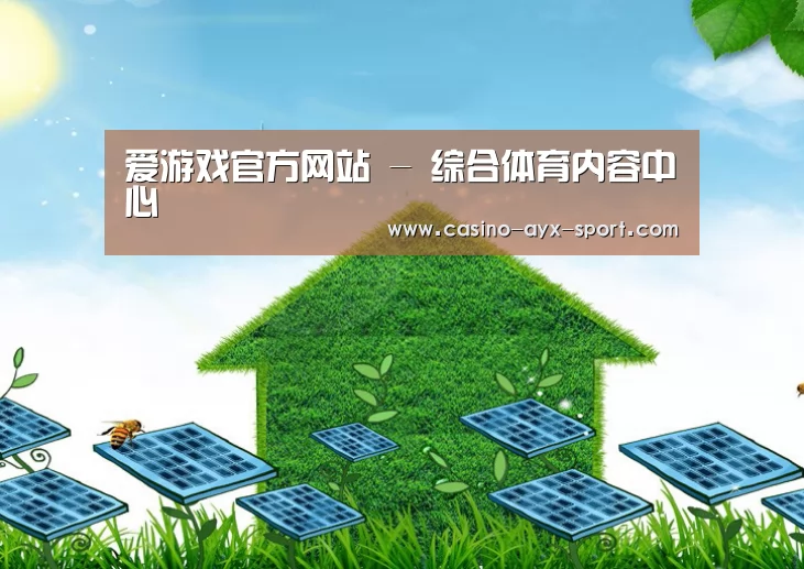爱游戏体育公司
