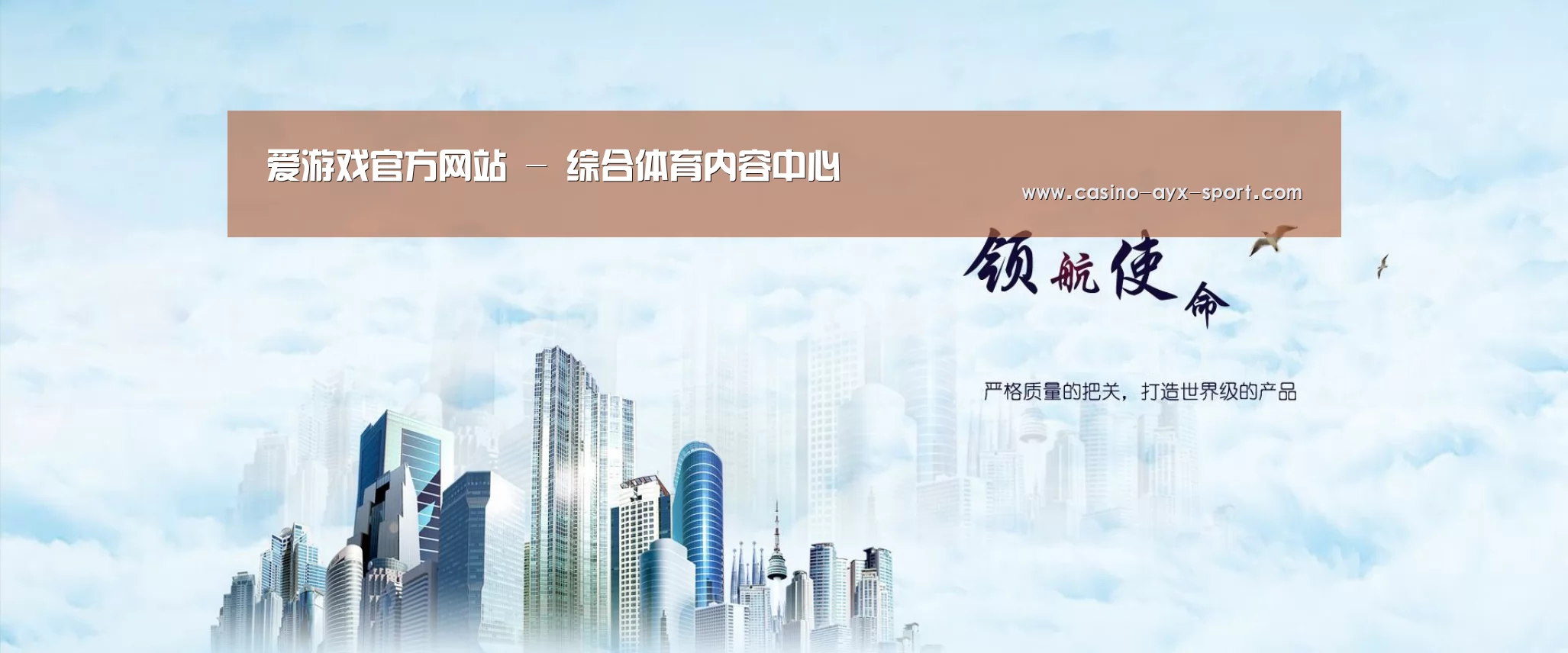 爱游戏体育公司