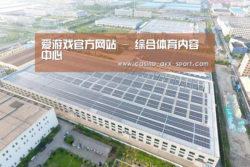 案例展示一