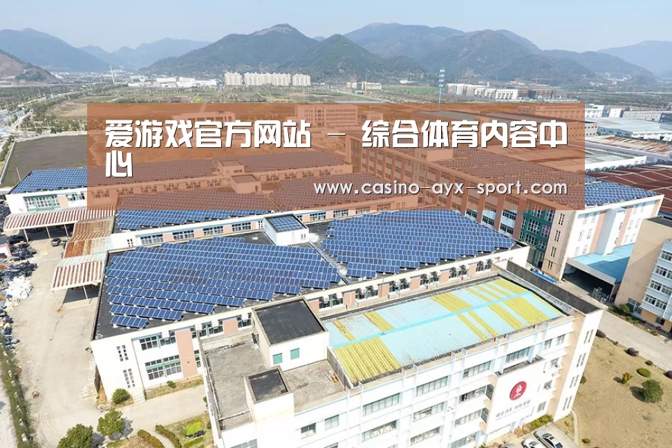 案例展示四