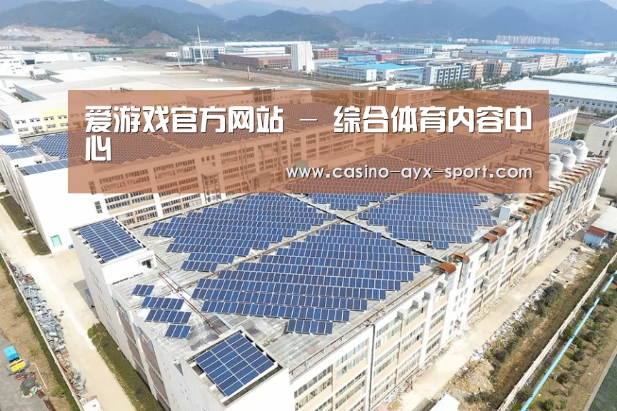 案例展示四