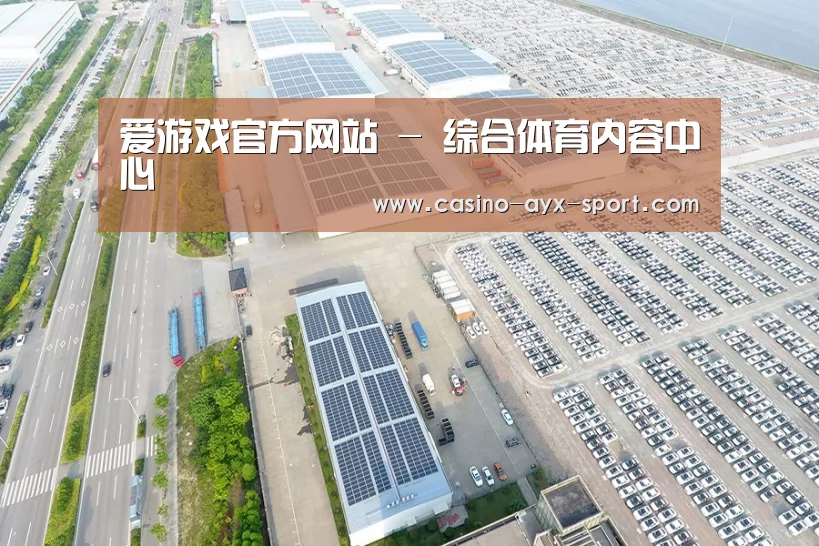 案例展示四