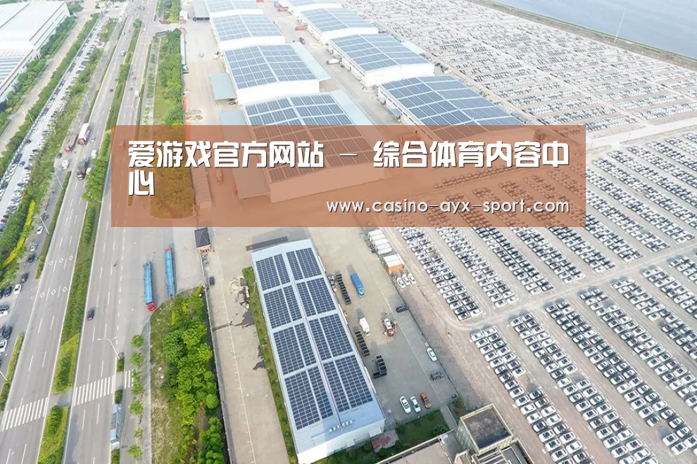 案例展示三