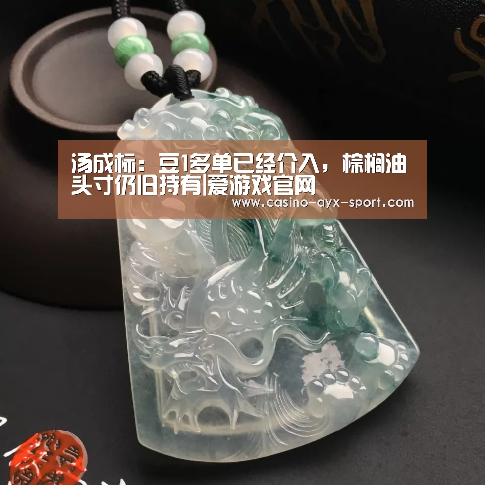 汤成标:豆1多单已经介入,棕榈油头寸仍旧持有|爱游戏官网(图1) 爱游戏官网
