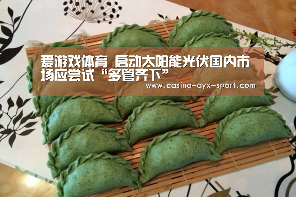 爱游戏体育_启动太阳能光伏国内市场应尝试“多管齐下”(图3) 爱游戏官网