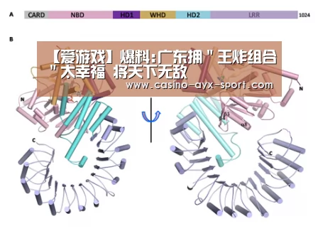 【爱游戏】爆料:广东拥"王炸组合"太幸福 将天下无敌(图1) 爱游戏