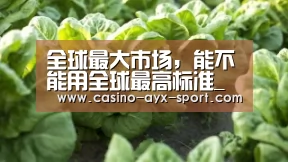 全球最大市场,能不能用全球最高标准_爱游戏首页(图4) 爱游戏