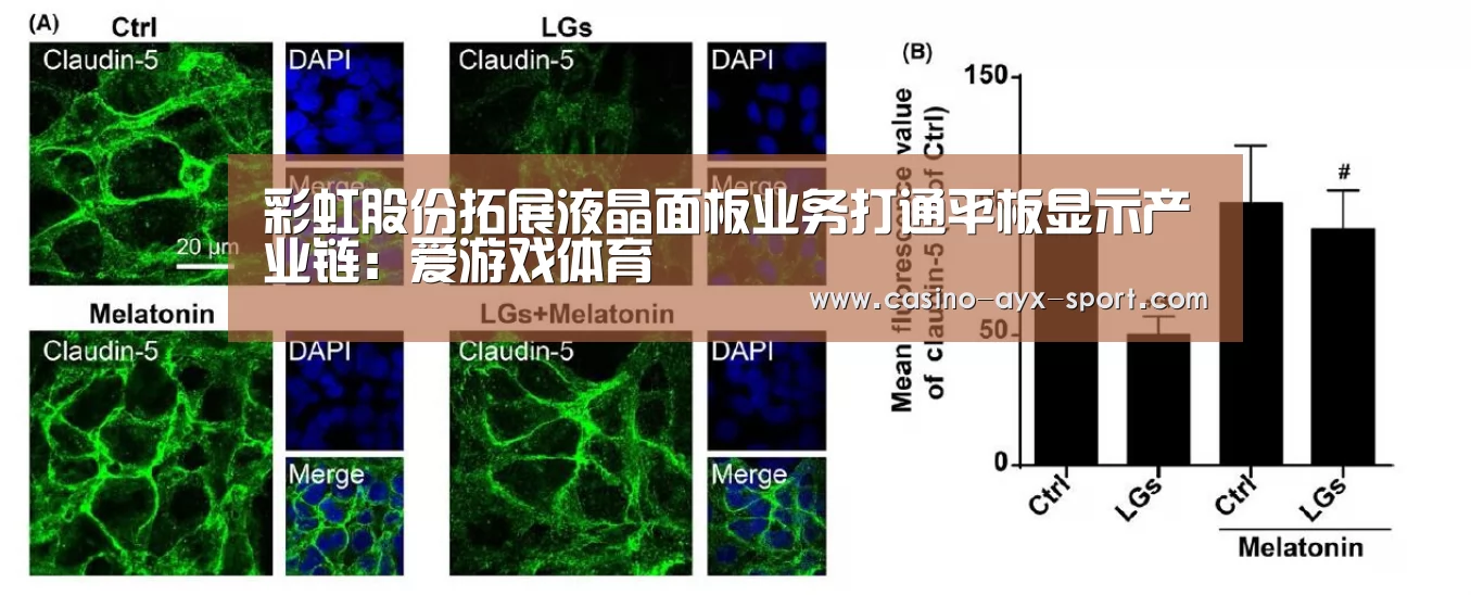 彩虹股份拓展液晶面板业务打通平板显示产业链:爱游戏体育(图2) 爱游戏首页