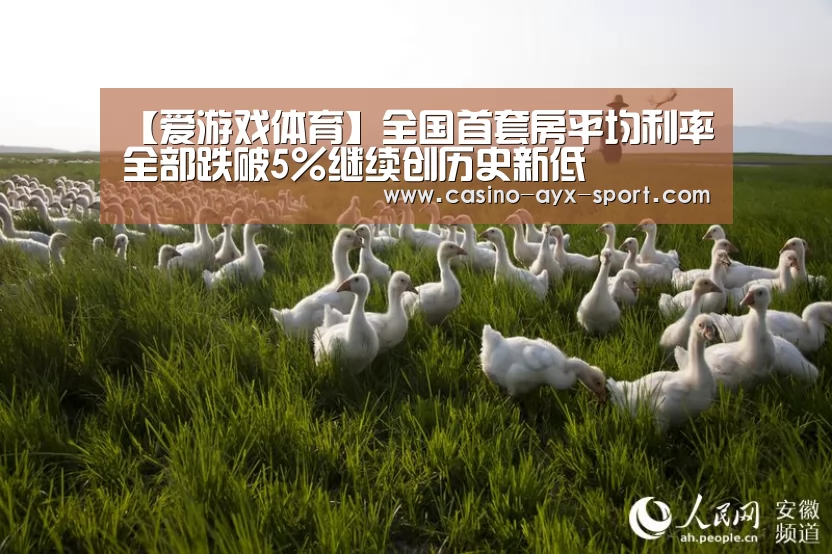 【爱游戏体育】全国首套房平均利率全部跌破5%继续创历史新低(图2) 爱游戏首页