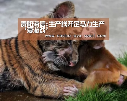 贵阳海信:生产线开足马力生产‘爱游戏’(图1) 爱游戏首页